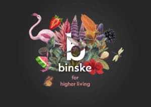 binske featured image
